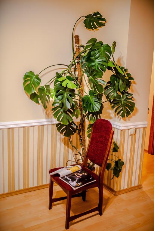 Babylon Apartments Rivne Room photo